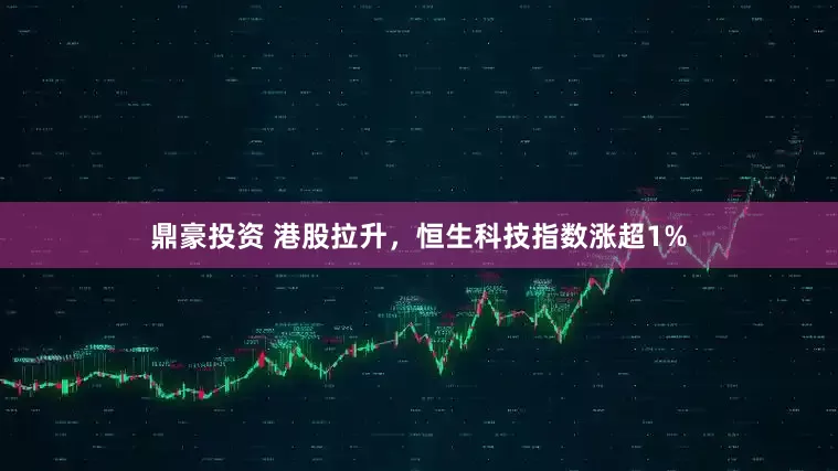 鼎豪投资 港股拉升，恒生科技指数涨超1%