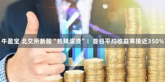 牛盈宝 北交所新股“热辣滚烫”！首日平均收益率接近350%