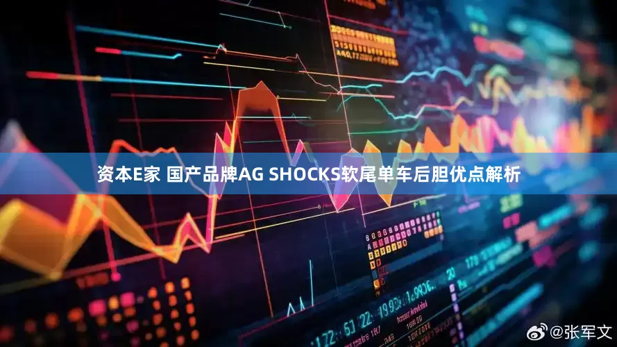 资本E家 国产品牌AG SHOCKS软尾单车后胆优点解析
