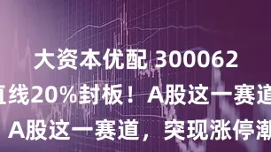 大资本优配 300062！5分钟，直线20%封板！A股这一赛道，突现涨停潮！