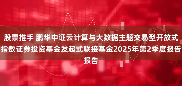 股票推手 鹏华中证云计算与大数据主题交易型开放式指数证券投资基金发起式联接基金2025年第2季度报告