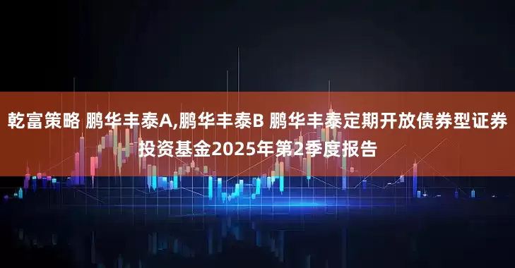 乾富策略 鹏华丰泰A,鹏华丰泰B 鹏华丰泰定期开放债券型证券投资基金2025年第2季度报告