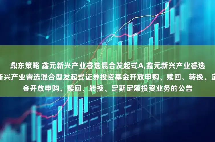 鼎东策略 鑫元新兴产业睿选混合发起式A,鑫元新兴产业睿选混合发起式C 关于鑫元新兴产业睿选混合型发起式证券投资基金开放申购、赎回、转换、定期定额投资业务的公告